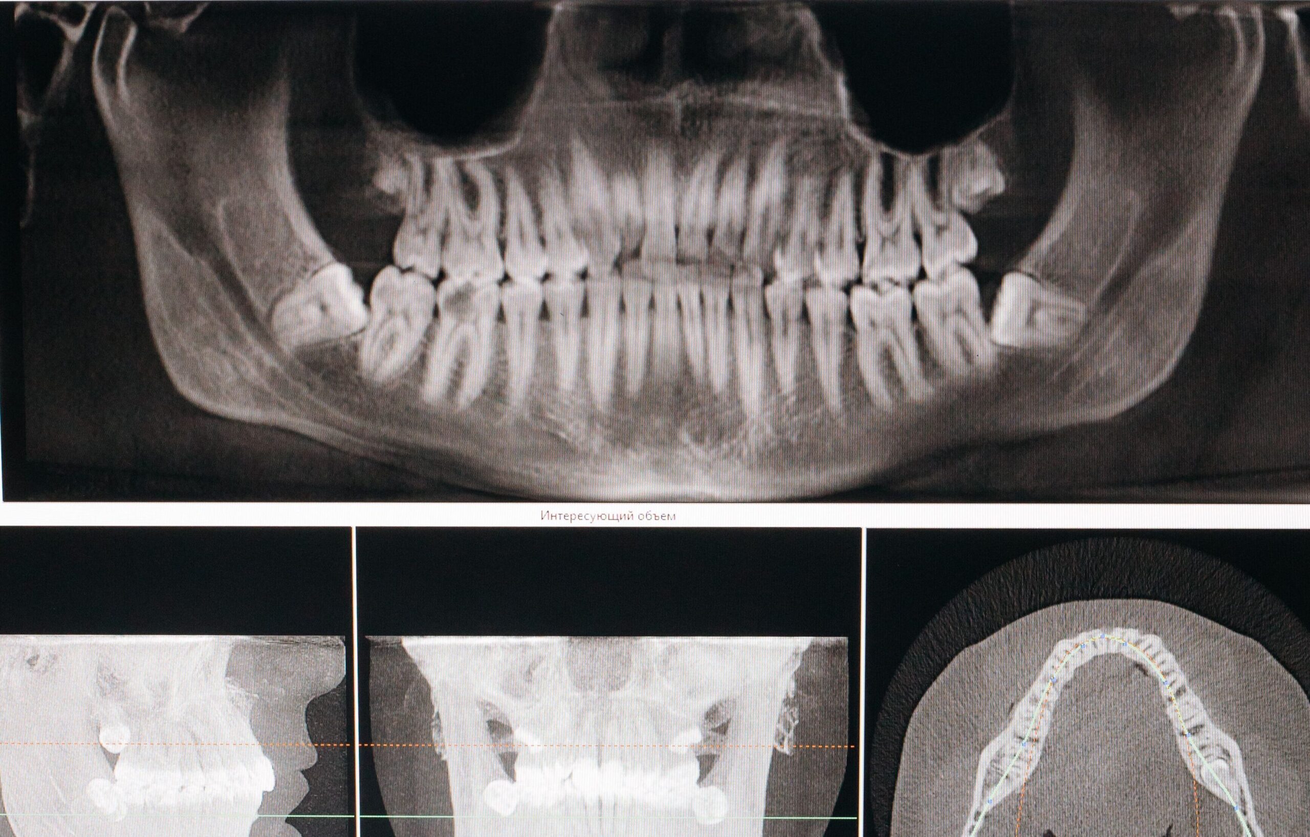 I nostri servizi : radiologia